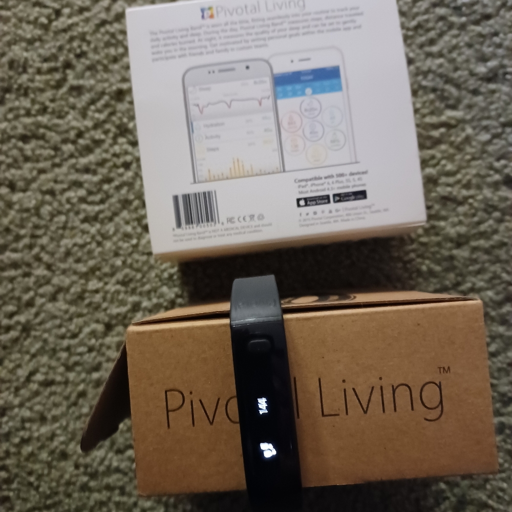 PIVOTAL LIVING BAND - Picture 3 of 11